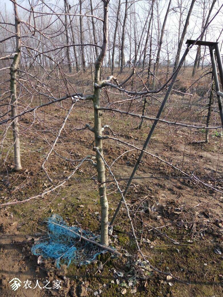 130229m2lme9ufherj2hlp.jpg