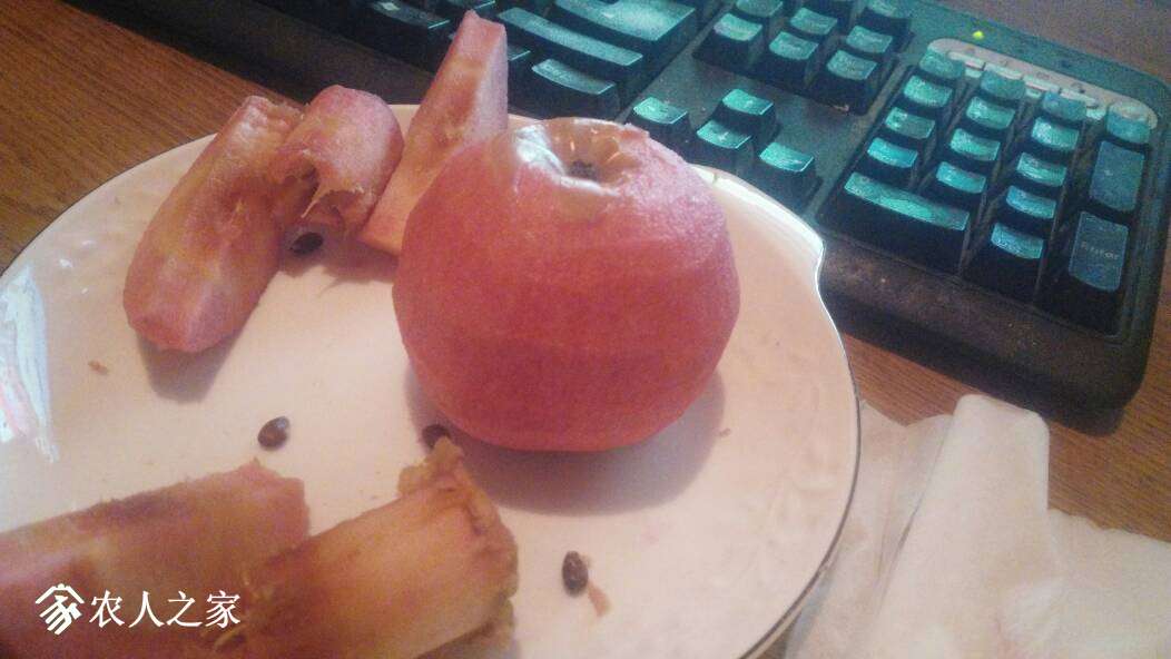 152516g8qqh8nlnw4fznn6.jpg