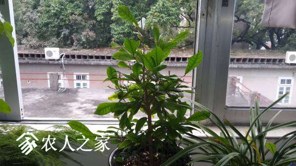 20170221_083440.jpg