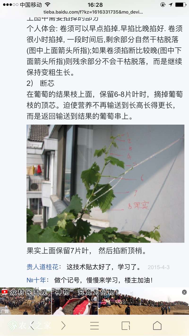 180652gnammlw1nw70y0nq.jpg