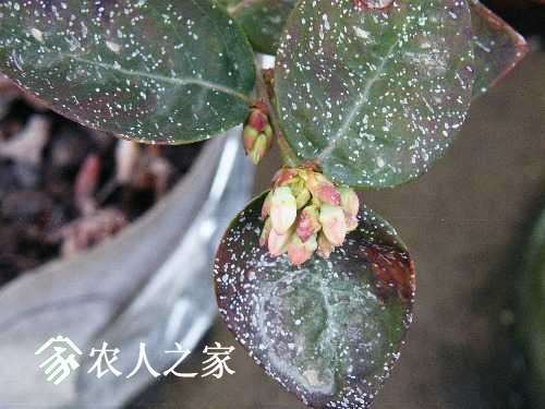 DSCF5496.JPG
