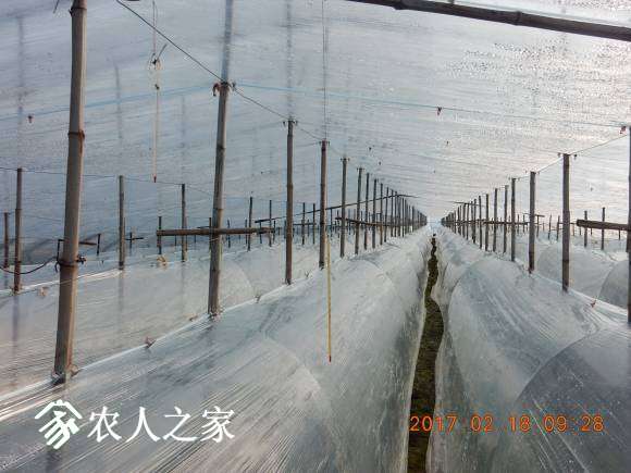 DSCN7018.JPG