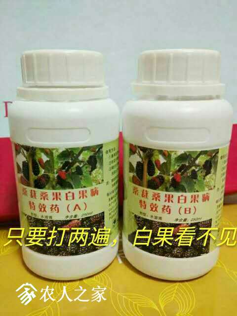 214111y30eoaomvpb1sbce.jpg