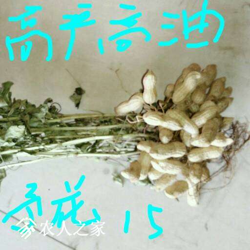 163039n6t6bq6m8h0tavfx.jpg