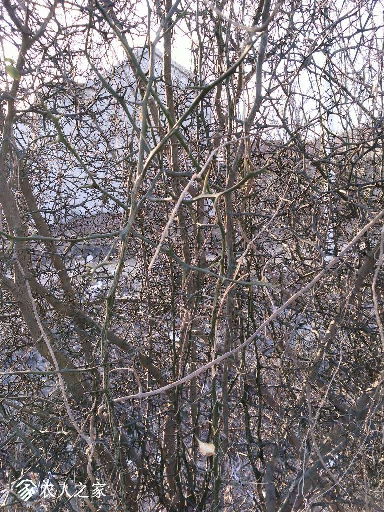 170122i0wwhbz000bfq00r.jpg