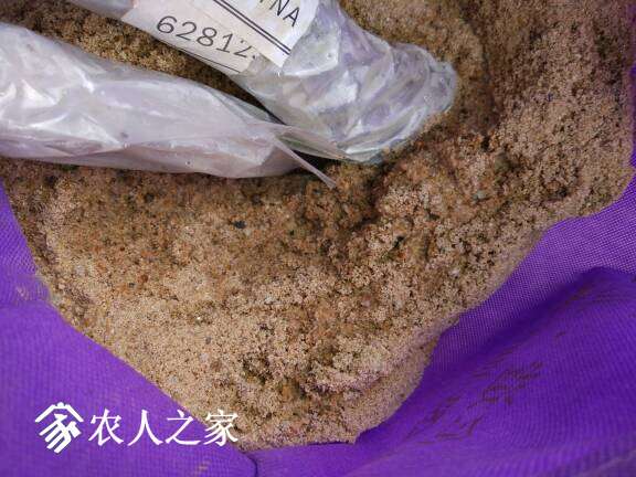 094224kg5sjp16iin0vg10.jpg