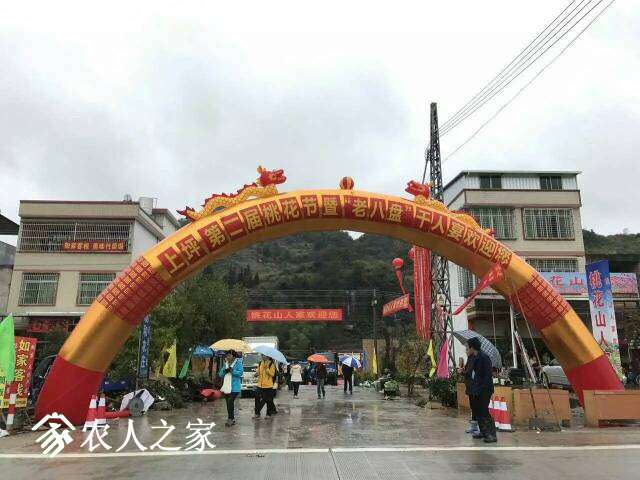 170533p3vi111qivqz0wyz.jpg