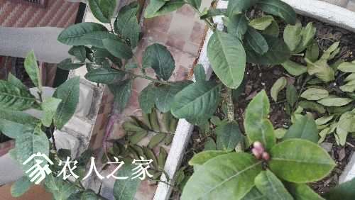 IMG_20170223_082012.jpg