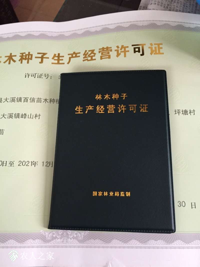 142530gzk6m1kh2wzc4k04.jpg