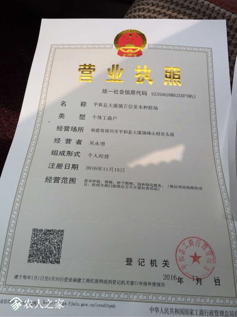 142530ptt3tlgglitjjjaa.jpg
