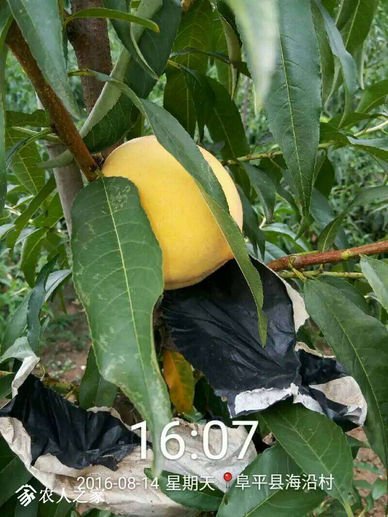 183755h84ck3xlk34kxlxa.jpeg