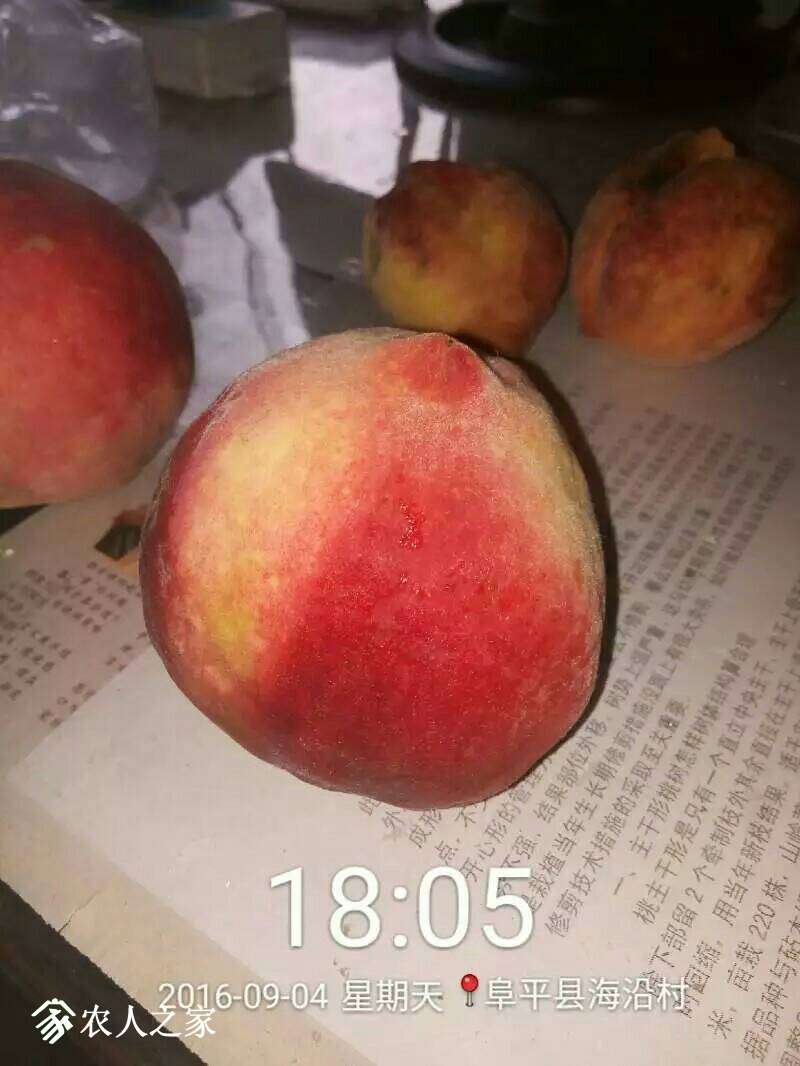 183757z18w1y8h8h5ys77s.jpeg