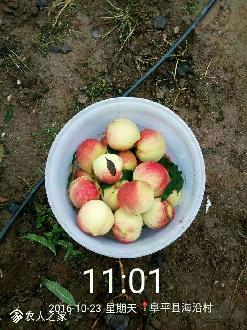 183759zuqxf9osrxtn9ngq.jpeg