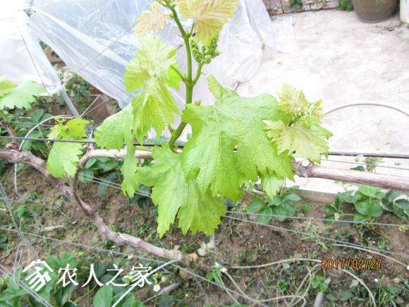 ѻ 047.jpg