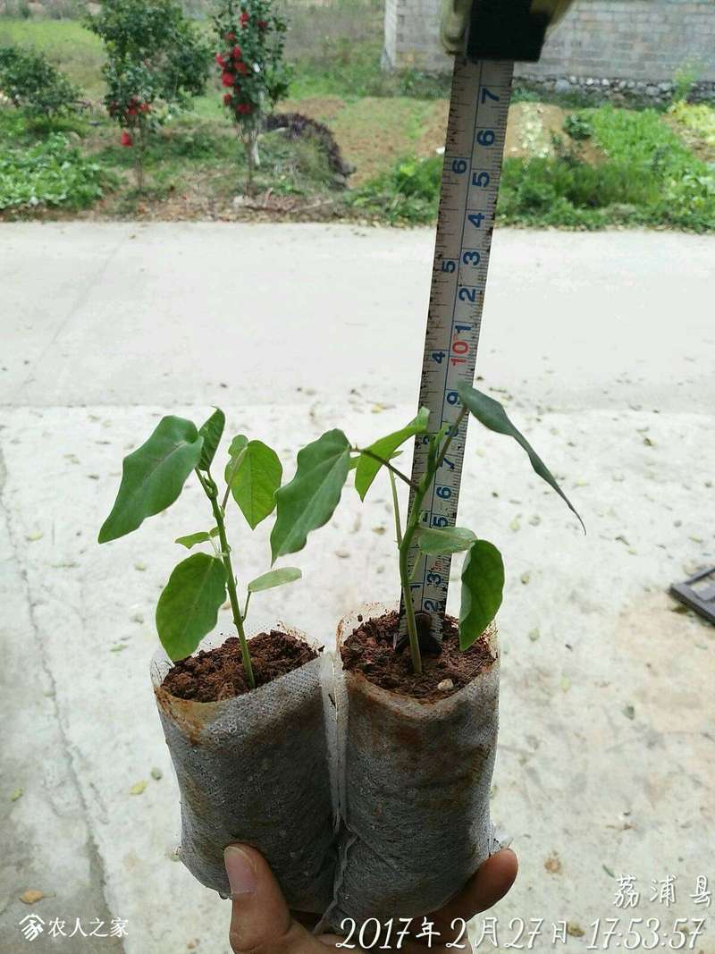 204025qmosr5wduvu55bu6.jpg