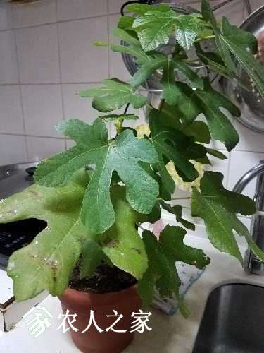 20170205_183246.jpg