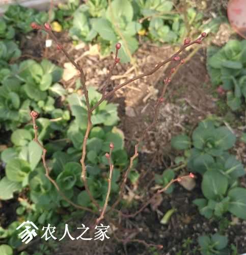 IMG_20170228_101323.jpg