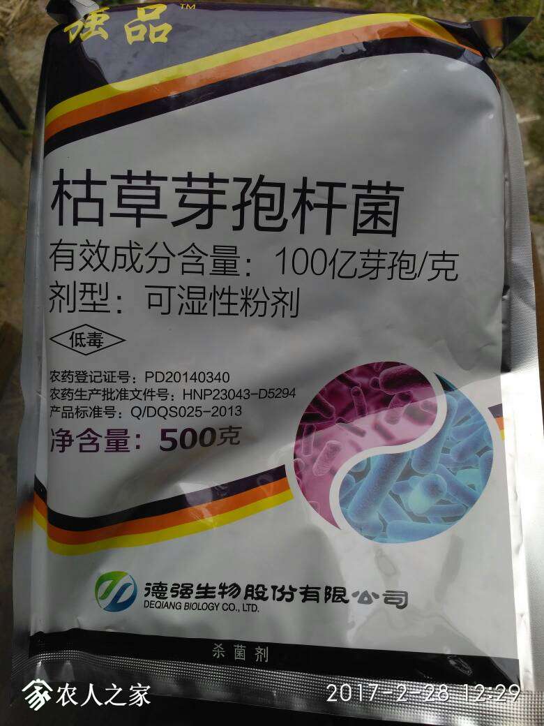 122953cvojg1zwsjb1usgs.jpg