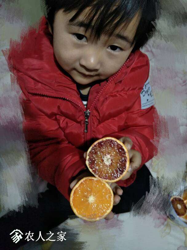 101455r88e8n80g2ns2vse.jpg