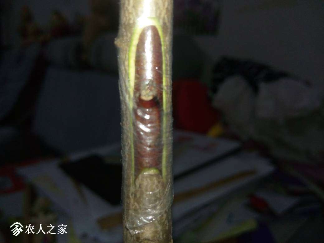 125042zlcbm776c5rl7ml7.jpg