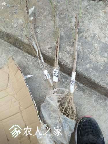 IMG20170301142934.jpg