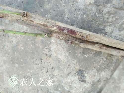 IMG20170301142927.jpg