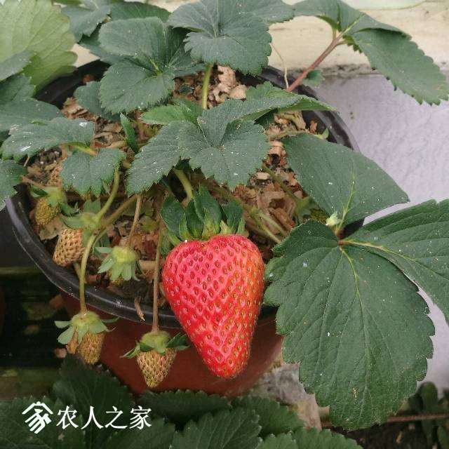 230713dghwt3ivos3ttvwb.jpg