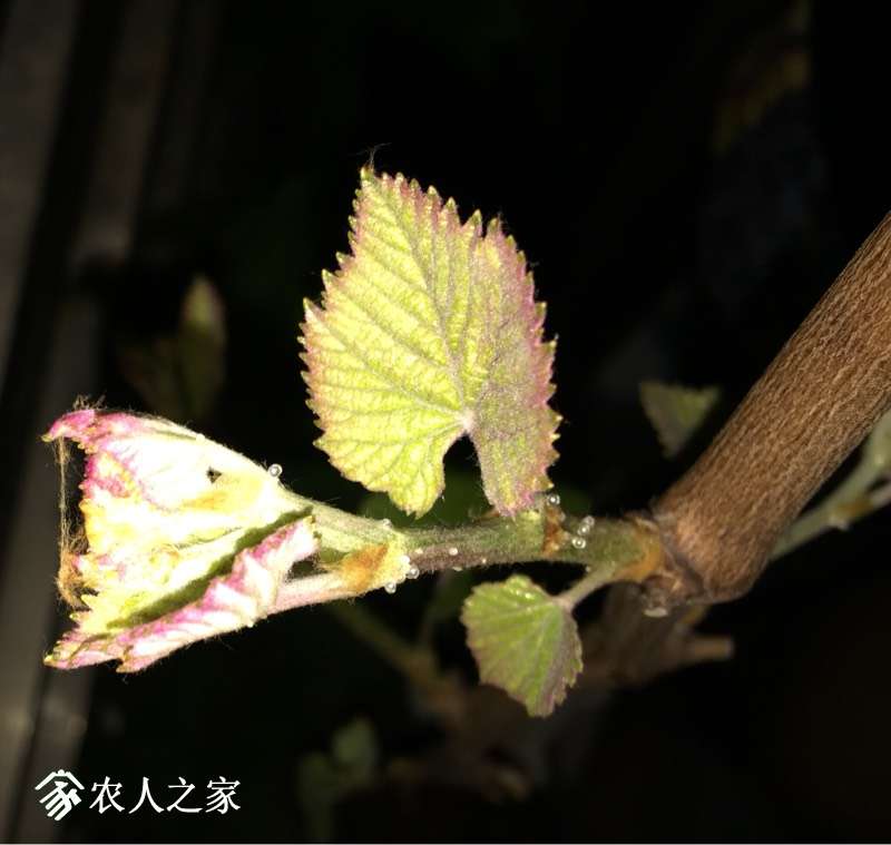 235206o14kjel3aq14xi1h.jpg