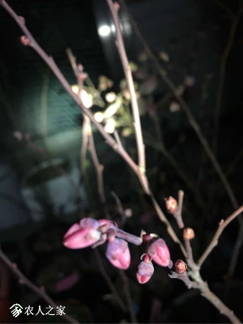 071300ezx8rgxzc5cxghx8.jpg