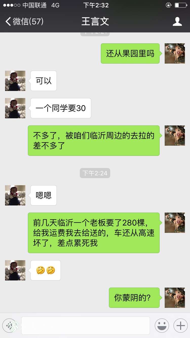 150800fthh233882eikiza.jpg