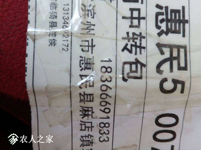 144511nc0illprpi1cznpi.jpg