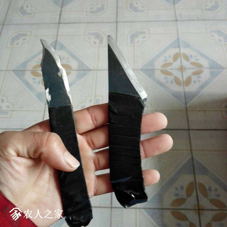 211654mvvdzznv5qavefnq.jpg