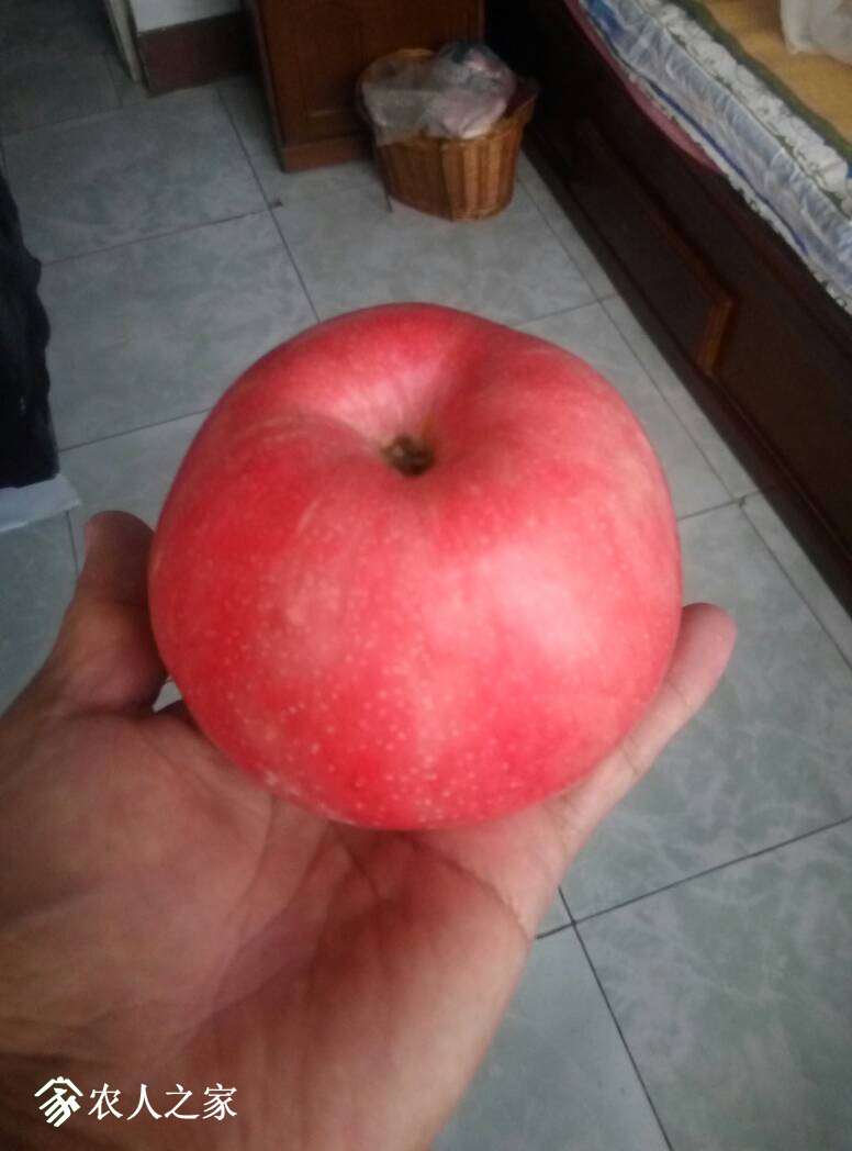 053637oqwg05e05vssiiyw.jpg