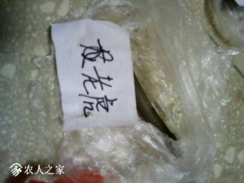 180123mri9yy8lz1rl5zlu.jpg