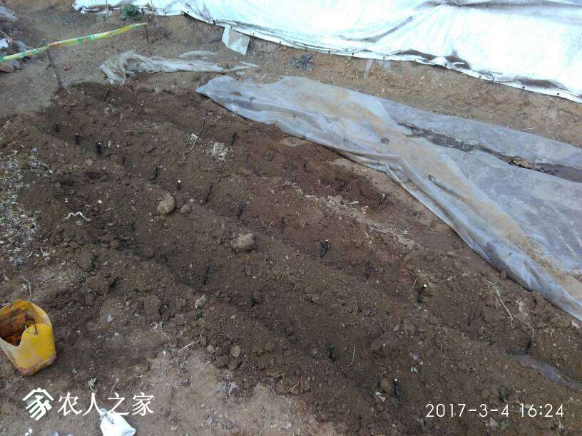 075849rim2ua12muam1g7g.jpg