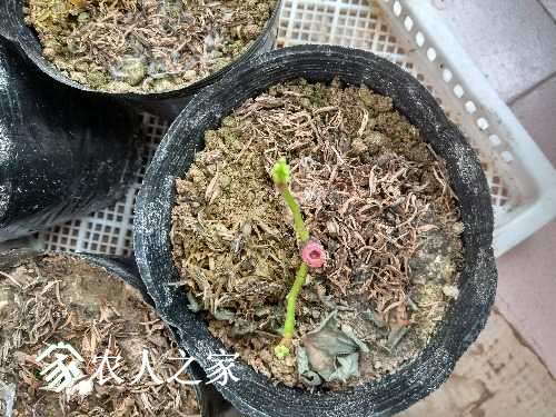 IMG_20170305_143236_HDR.jpg