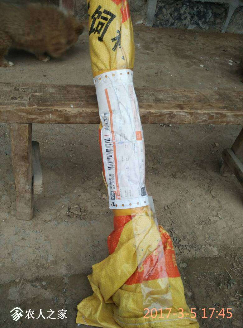 181256tuq1g6ola1a1o1zt.jpg