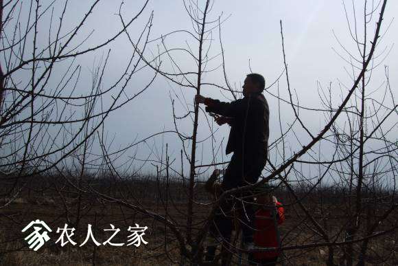 ѩ꼰 026.jpg