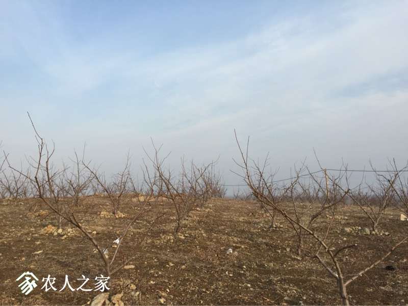 090456tfg77zy3x4eocexe.jpg