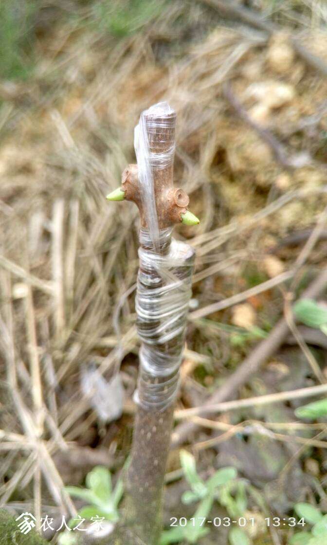 115128t3ukwsma2zwesll2.jpg