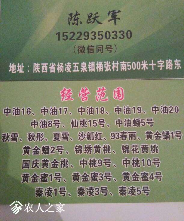 124819nu2uxu211uu9o921.JPG