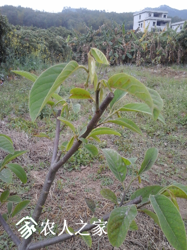 20170227_162451.jpg