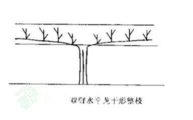 090402s9e5pe3itve1zgwv.jpg