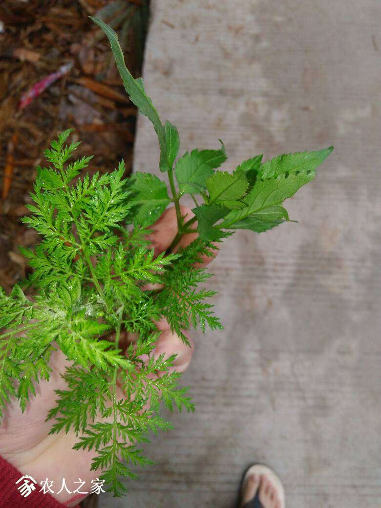 110707ph51fh6u9mp74vvz.jpg