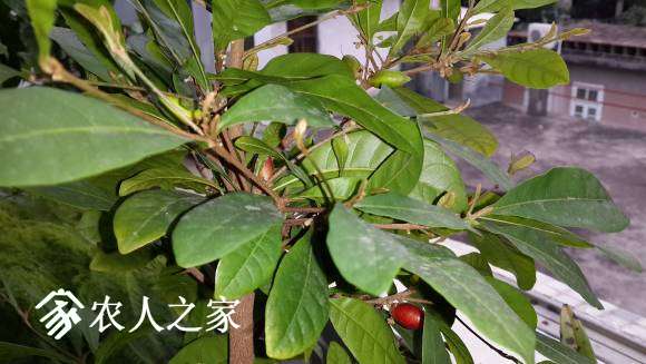 20170307_145057.jpg