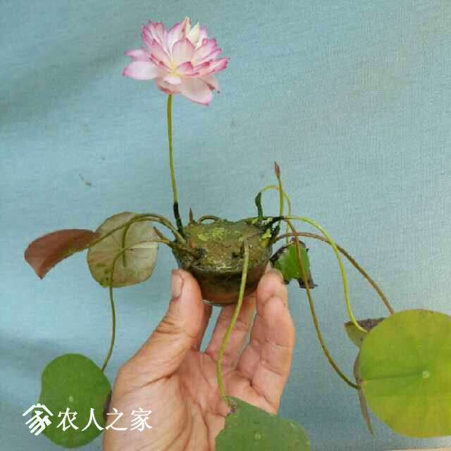 205631znu6jy6fuu6565dy.jpg