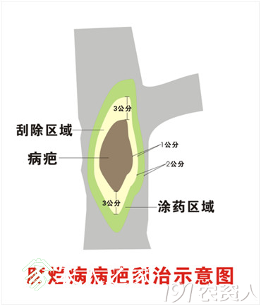 6.png