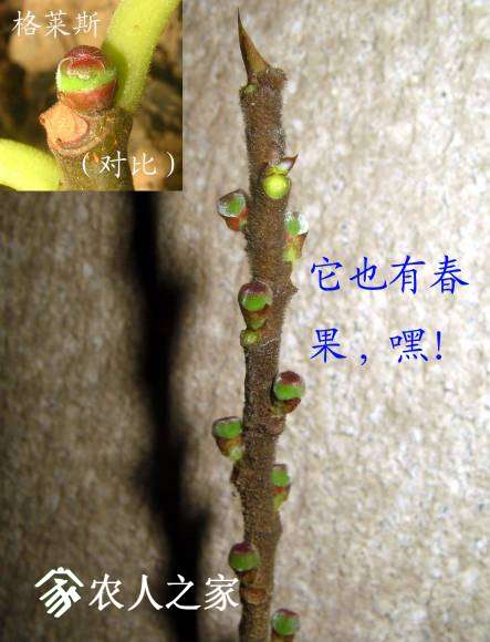 IMG_7469.jpg