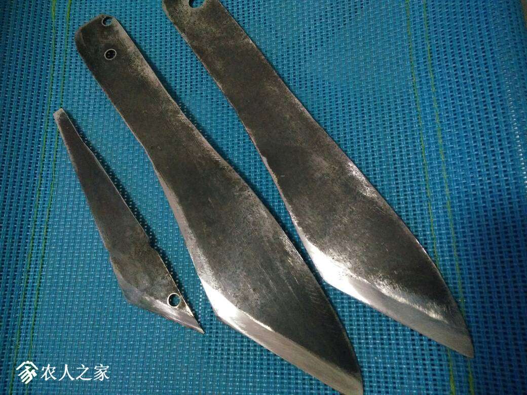 093951td9vzha5l0dx995p.jpg