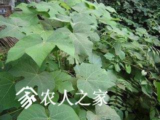 t017906bd1dc1df2d04.jpg